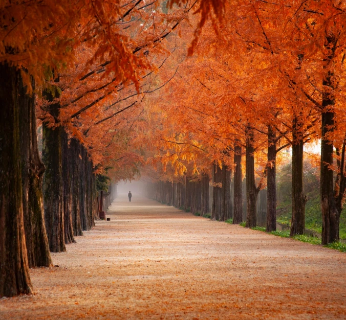 Gadget per l'inverno, l'estate, l'autunno e la primavera