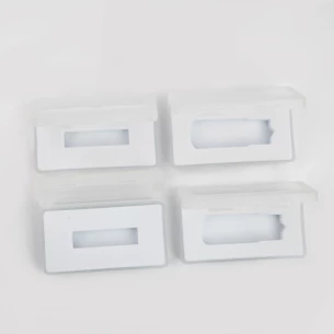 Scatola di plastica per memory stick
