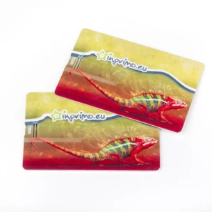 Unità flash Carta di credito 32Gb