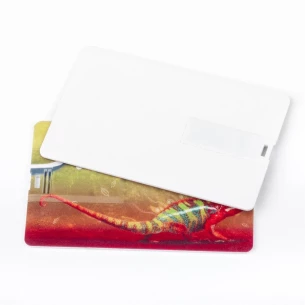 Unità flash Carta di credito 16Gb