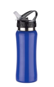 PATRO Bidon in acciaio 600 ml - Blu