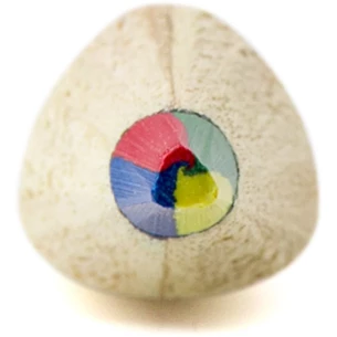 Matita, stilo multicolore Varius - marrone chiaro