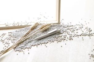 Penna a sfera ETNO - beige